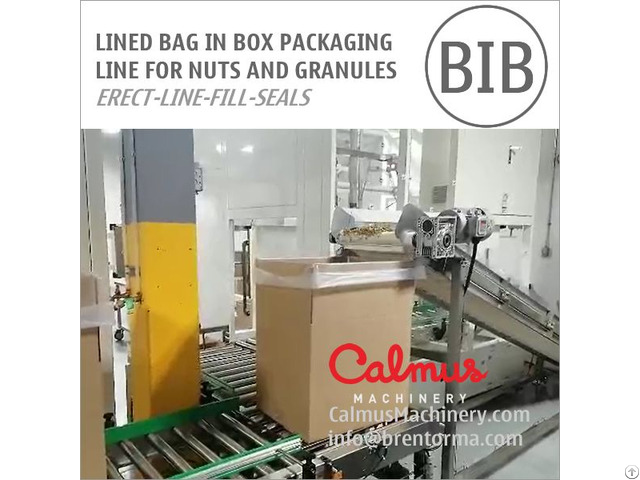 Bag In Box Forming Filling And Sealing Line For Packaging Granules