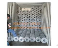 Mesh Fence Net Hexagonal Netting