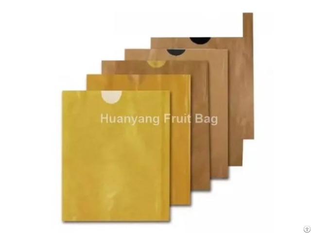 Yellow Mango Protection Bags