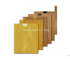 Yellow Mango Protection Bags