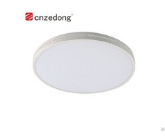 Smart Wifi Ceiling Light