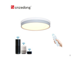 Led Panel Light Zedong