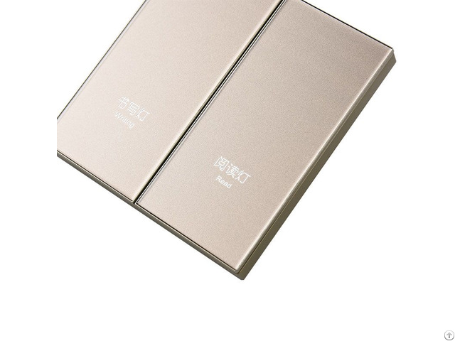 Two Gang Wifi Switch