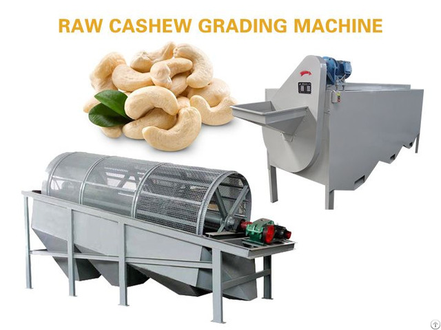 Raw Cashew Grading Machine