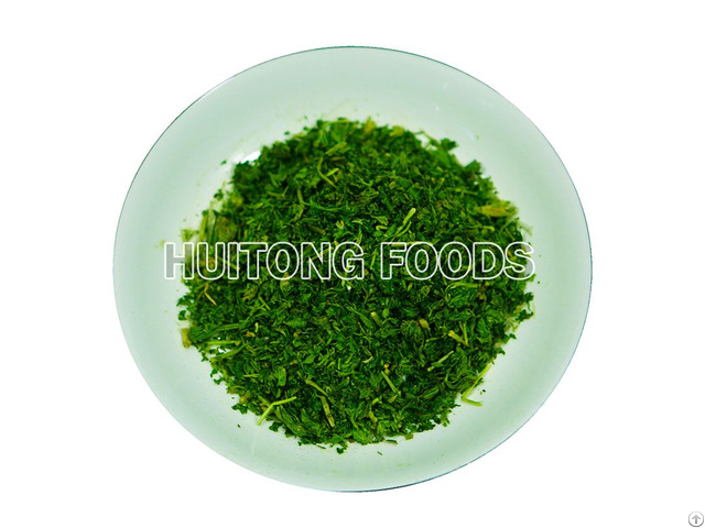Freeze Dried Parsley Huitongfoods