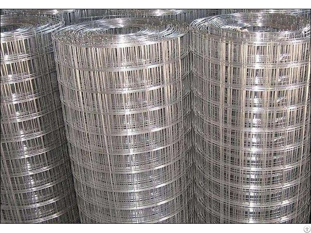 Galvanized Welded Wire Netting