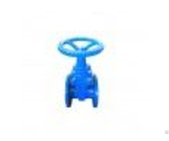 Z45x 10 16q F4 Concealed Gate Valve
