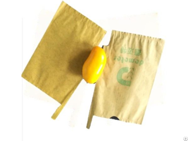 Mango Protection Bags Waterproof Fruit Growing Paper Bag