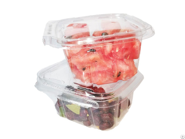 Safe Sealed Pet Clear Clamshell Food Box