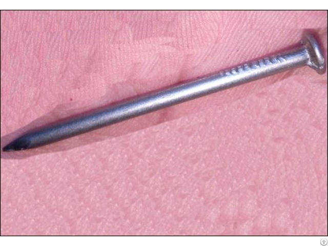 Common Flat Head Nails