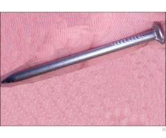 Common Flat Head Nails