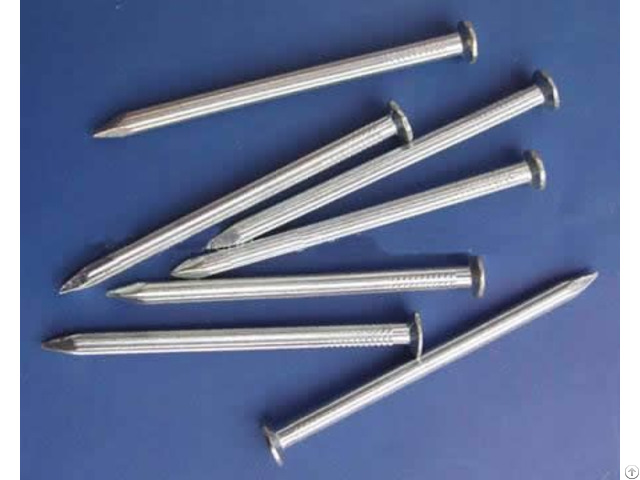 Wire Nail Galvanized Iron For Wood