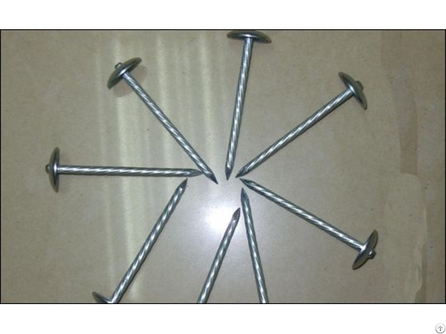Galvanized Roofing Nails