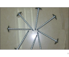 Galvanized Roofing Nails