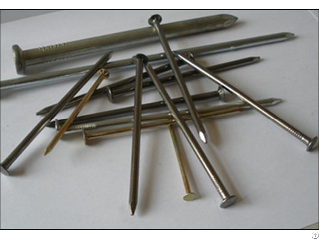 Provide Common Round Nails