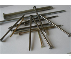 Provide Common Round Nails