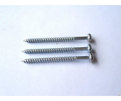 Wood Screws