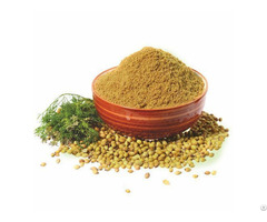 Buy Coriander Powder Wholesale Online Vyom Overseas