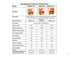 Cast Iron Pump Series