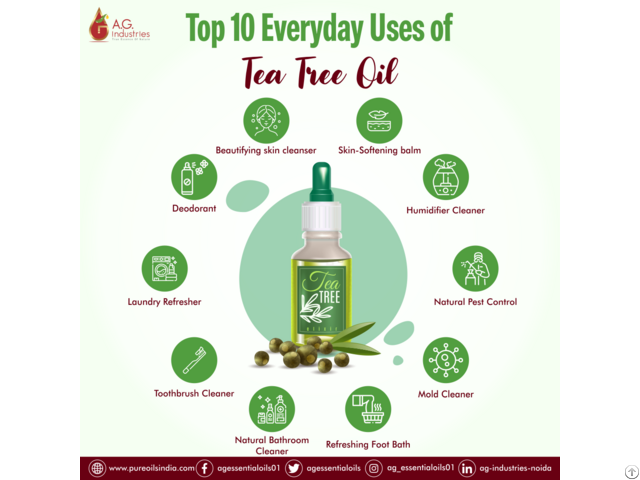 Leading Tea Tree Oil Wholesaler