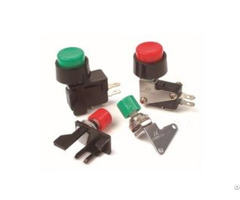 Snap Action Switch Vaq Series