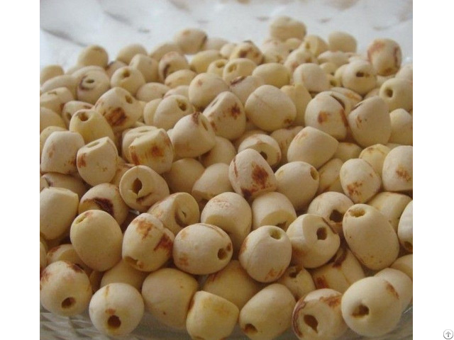 Dried Lotus Seeds For Exporting