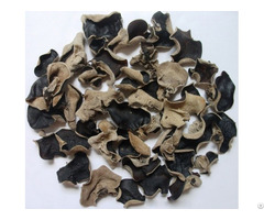 Dried Black Fungus Mushroom From Vietnam