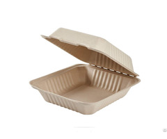 Disposable 9 Inch Sugarcane Pulp Food Container Takeaway Biodegradable Bagasse Clamshell Lunch Box
