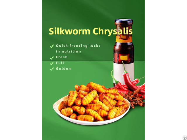 High Protein Rozen Silkworm