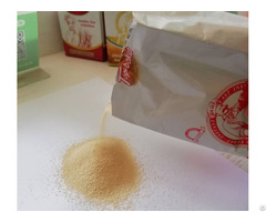 Instant Dry Yeast For Bakery