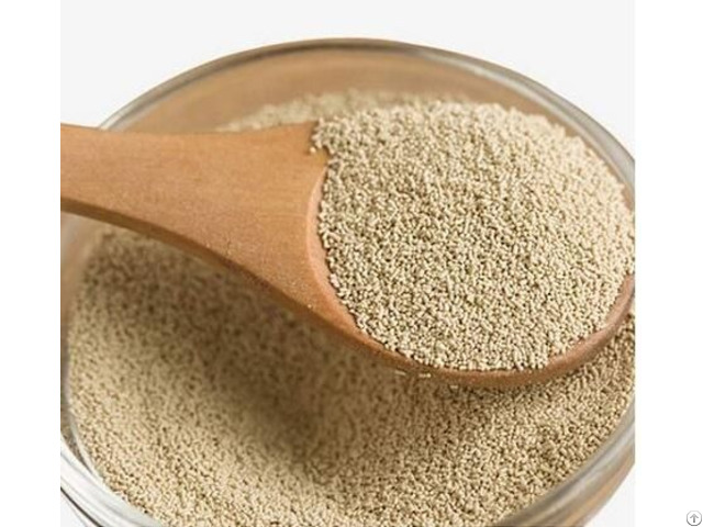 Active Dry Yeast With Fast Fermentation Ability