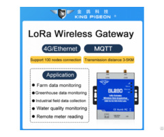 Multiple Data 4g Lora Wireless Industrial Acquisition Gateway