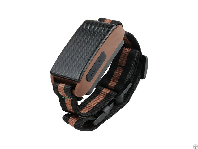 User Friendly Dog Collars Gps Tracking Device Work With Ios And Adroid App