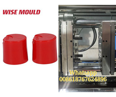 Professional Plastic Disc Cap Mould Factory