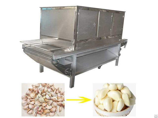 Garlic Peeling Machine Price In Pakistan