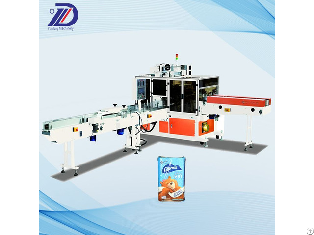 Napkin Packaging Machine