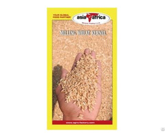 Wheat Grain