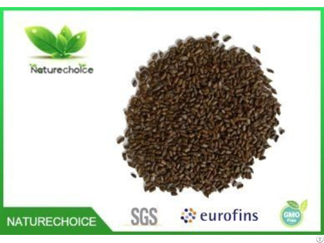 Organic Cassia Seeds