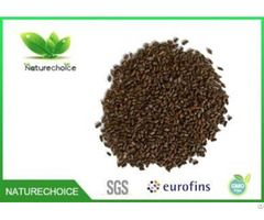 Organic Cassia Seeds