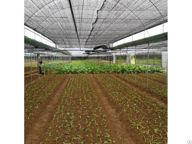 Agricultural Farm Greenhouse 50% 90% Shading Rate Sun Shade Net