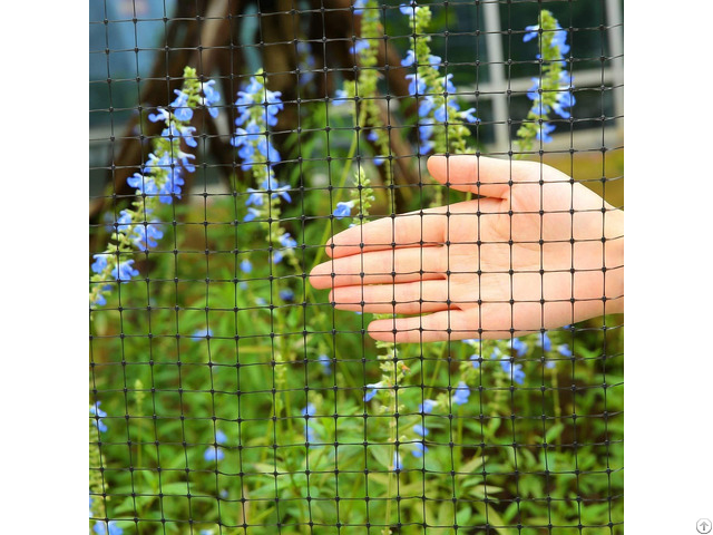 Polyethylene Mesh Animal Protection Netting Pp Plastic Anti Bird Net