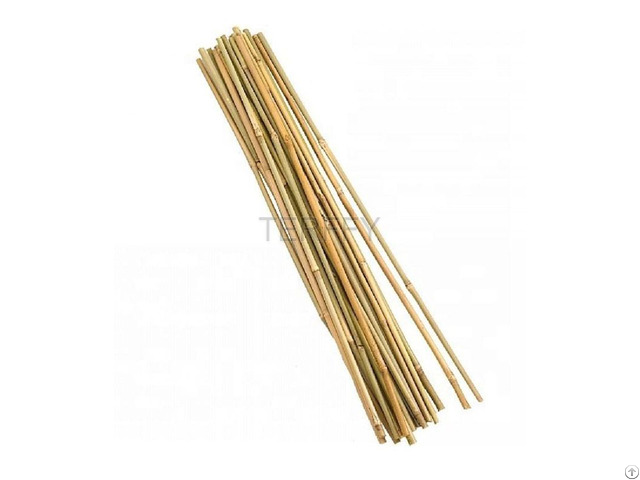 Bamboo Pole
