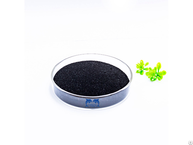 Natural Seaweed Extract Good Biostimulant
