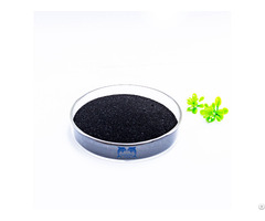 Natural Seaweed Extract Good Biostimulant