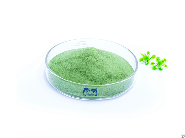 Green Seaweed Extract Alginate 40%