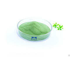 Green Seaweed Extract Alginate 40%