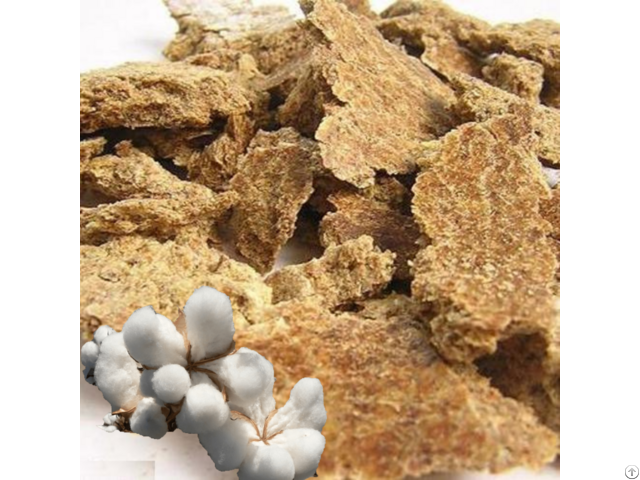 Cotton Seed Cake Products