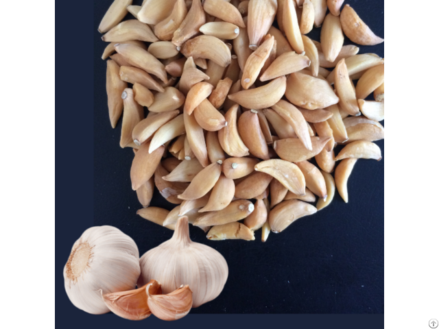 Dehydrated Garlic