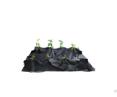 Vegetables And Fruits Root Protect Garden Cover Anti Weed Mat