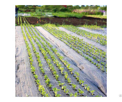 Agricultural Woven Weed Control Ground Mulch Landscape Fabric